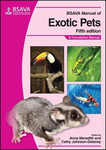 Current therapy in hot sale exotic pet practice