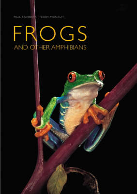 Frogs: and Other Amphibians (Hardback)