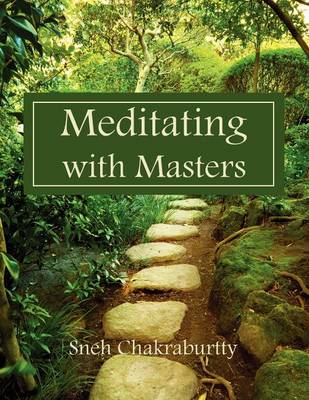Mediating with Masters (Paperback)