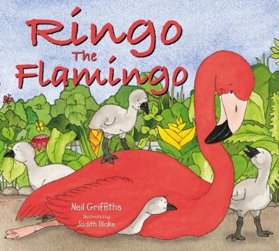 Ringo the Flamingo (Paperback)