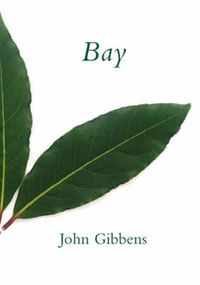 Bay (Paperback)