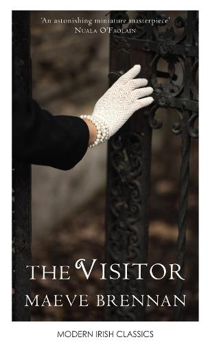 The Visitor (Paperback)