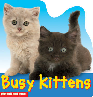 Busy Kittens - Busy Books S. (Hardback)