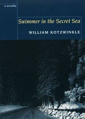 Swimmer in the Secret Sea (Paperback)