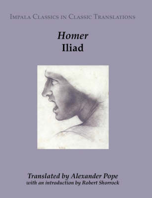Iliad (Paperback)