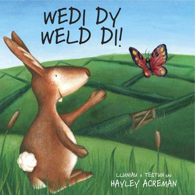 Wedi Dy Weld Di (Paperback)