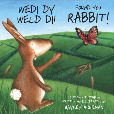 Wedi Dy Weld Di / Found You Rabbit (Paperback)