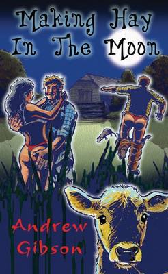 Making Hay in the Moon (Paperback)