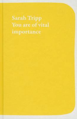 You are of Vital Importance to the Art World (Paperback)