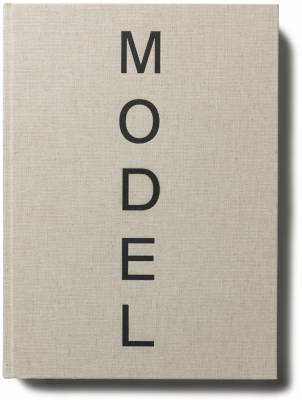 Antony Gormley - Model (Hardback)