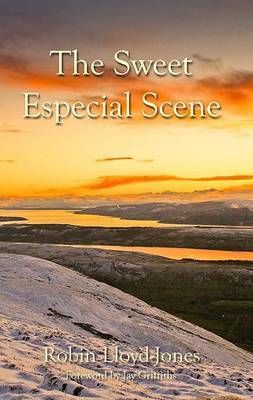 The Sweet Especial Scene (Paperback)