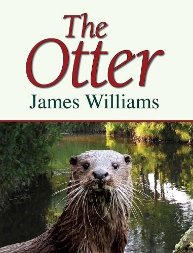 The Otter (Hardback)