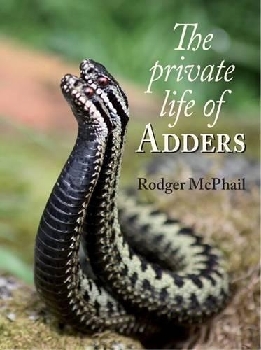 The Private Life of Adders (Hardback)
