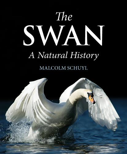 The Swan: A Natural History (Hardback)