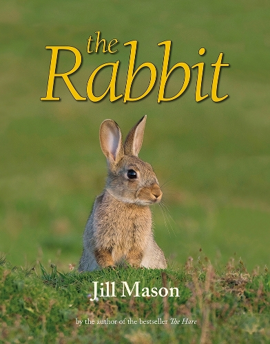 Rabbit (Hardback)