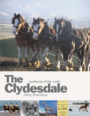 The Clydesdale: Workhorse of the World (Hardback)