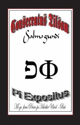 The Consecrated Talisman 'salmagundi': Bk. 1: The Pi Exponent (Paperback)