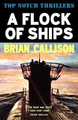 A Flock of Ships (Paperback)