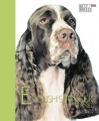 English Springer Spaniel - Best of Breed (Hardback)