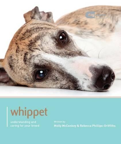 Whippet - Dog Expert - Dog Expert (Paperback)