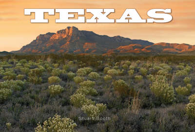 Texas (Hardback)