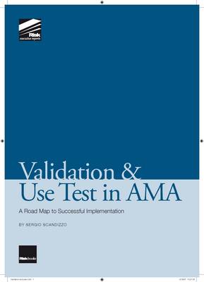 Validation and Use Test in AMA (Paperback)
