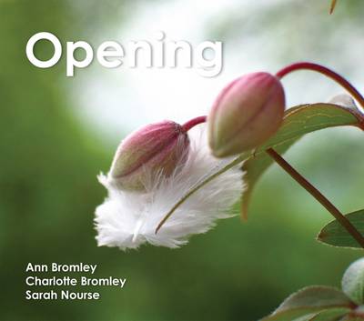 Opening (Hardback)