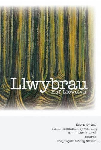 Llwybrau (Paperback)