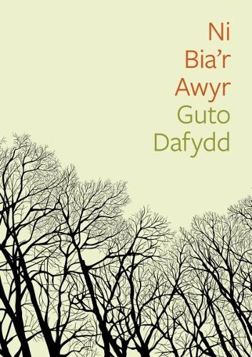 Cyfres Tonfedd Heddiw: Ni Bia'r Awyr (Paperback)