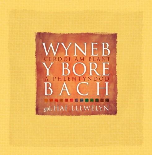 Wyneb y Bore Bach - Cerddi am Blant a Phlentyndod (Hardback)