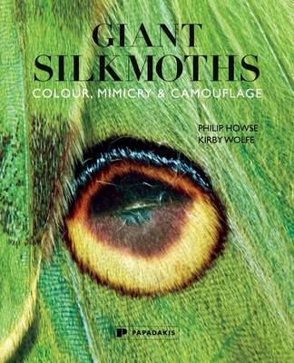 Giant Silkmoths: Colour, Mimicry & Camouflage (Paperback)