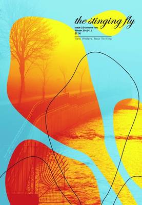 The Stinging Fly Winter 2012-13: Issue 23 Volume Two - Stinging Fly 41 (Paperback)