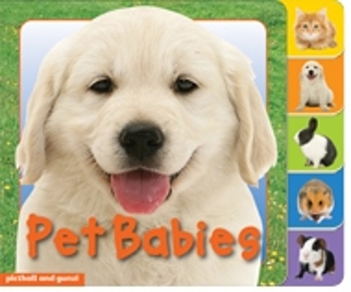 Pet Babies - Animal Tabs (Board book)