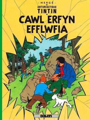 Cyfres Anturiaethau Tintin: Cawl Erfyn Efflwfia (Paperback)
