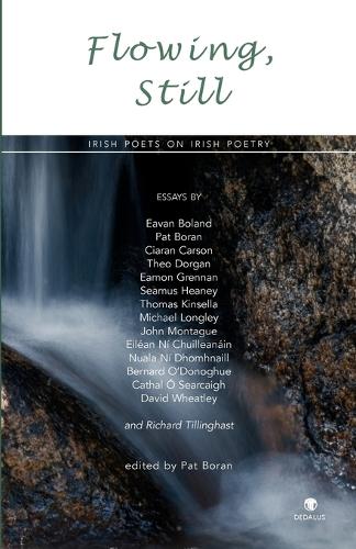 Flowing, Still: Irish Poets on Irish Poetry (Paperback)