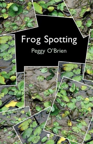 Frog Spotting (Paperback)