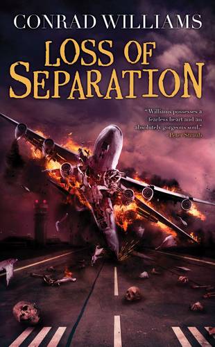 Loss of Separation (Paperback)