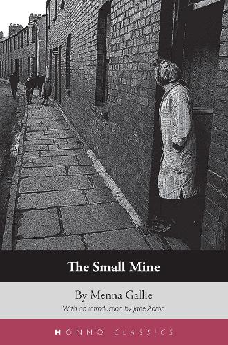 The Small Mine (Paperback)