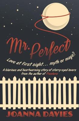 Mr Perfect (Paperback)