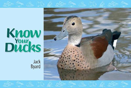 Know Your Ducks - Jack Byard