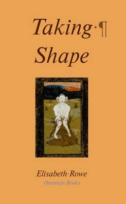 Taking Shape (Paperback)