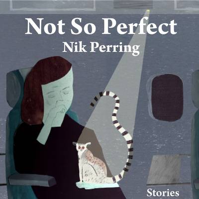 Not So Perfect: Stories (Paperback)