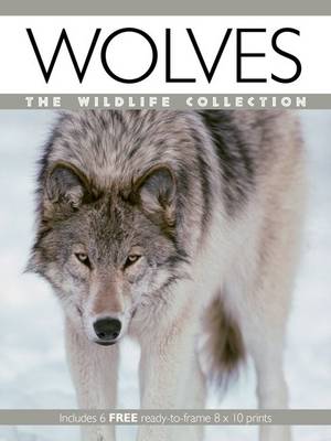Wolves - Wildlife Collection (Paperback)