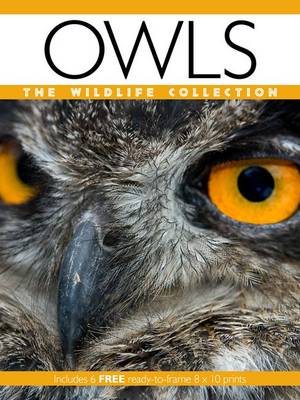 court of owls trade paperback