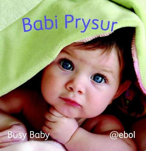 Fy Llyfr Lluniau Defnydd Meddal/My Photo Soft Cloth Book: 2. Babi Prysur/Busy Baby (Rag book)