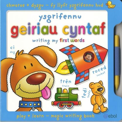 Fy Llyfr Ysgrifennu Hud/My Magic Writing Book: Ysgrifennu Geiriau Cyntaf/Writing My First Words (Hardback)