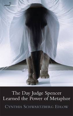 The Day Judge Spencer Learned the Power of Metaphor (Paperback)