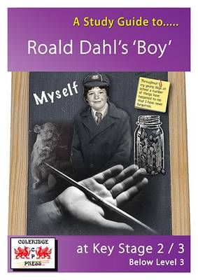 A Study Guide to Boy by Roald Dahl at Key Stage 2 to 3: Below Level 3