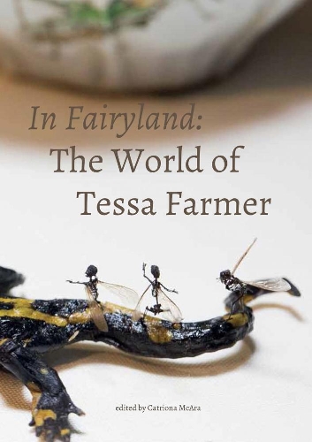 In Fairyland: The World of Tessa Farmer (Paperback)