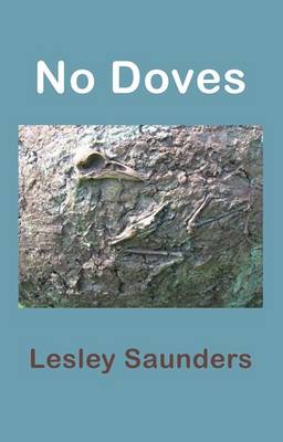 No Doves (Paperback)